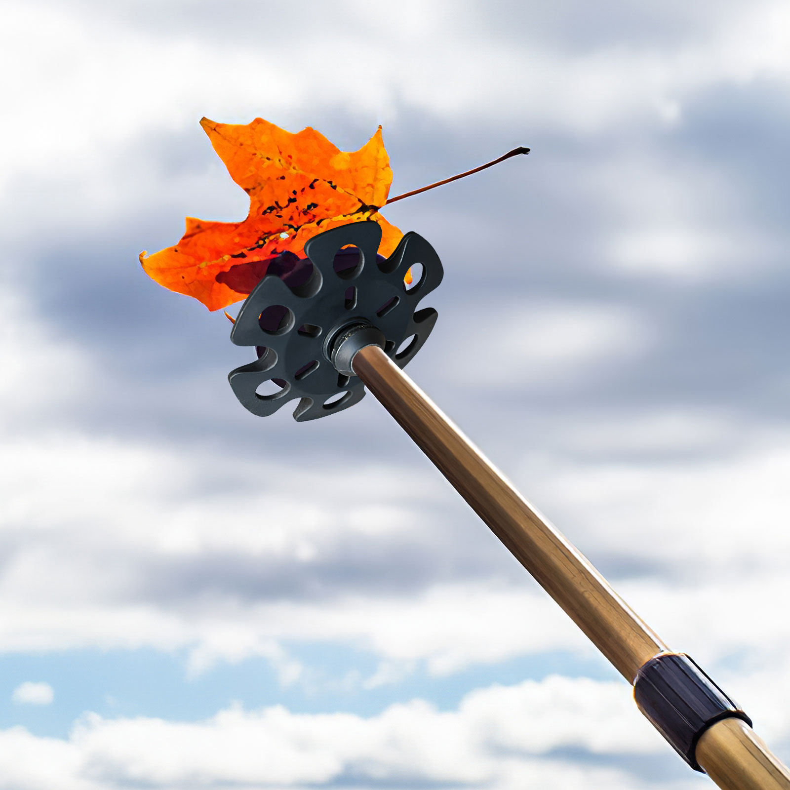 1 jeu d'embouts pour bâtons de - Snow Baskets Mud Baskets Trekking Pole avis et prix