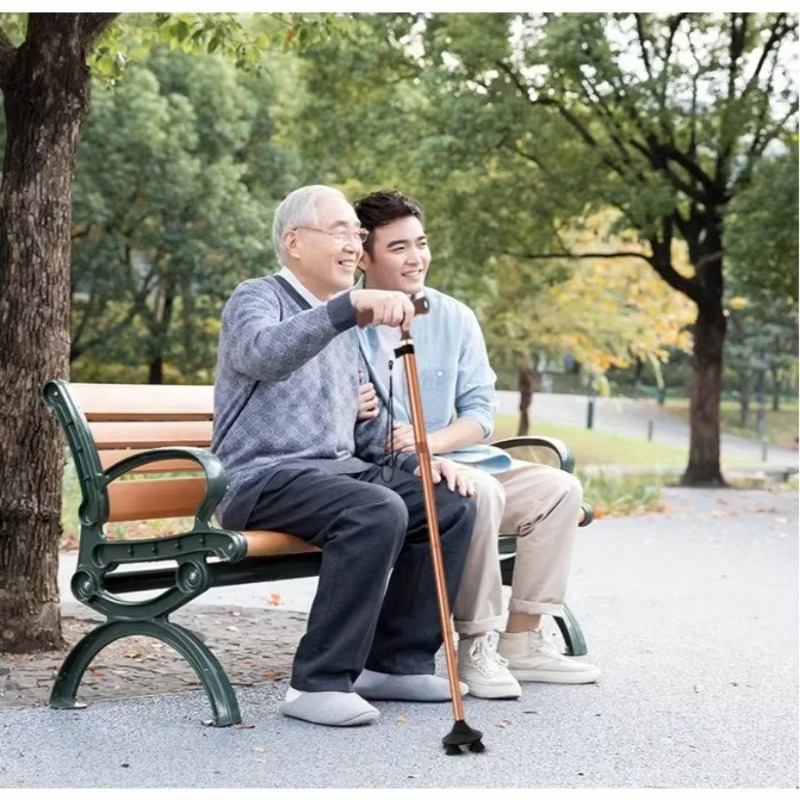 Bâton de marche pliable et rég - Folding Walking Sticks Hiking Adjustable avis et prix