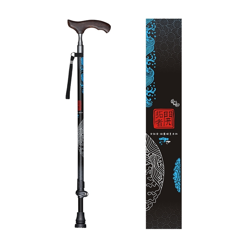 Bâtons de marche avec manche e - Nordic Walking Poles Carbon 100 avis et prix