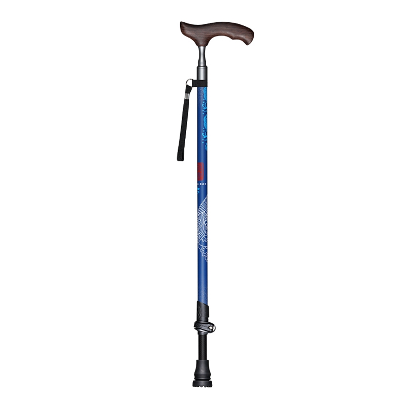 Bâtons de marche avec manche e - Nordic Walking Poles Carbon 100 avis et prix