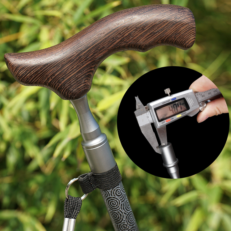 Bâtons de marche avec manche e - Nordic Walking Poles Carbon 100 avis et prix