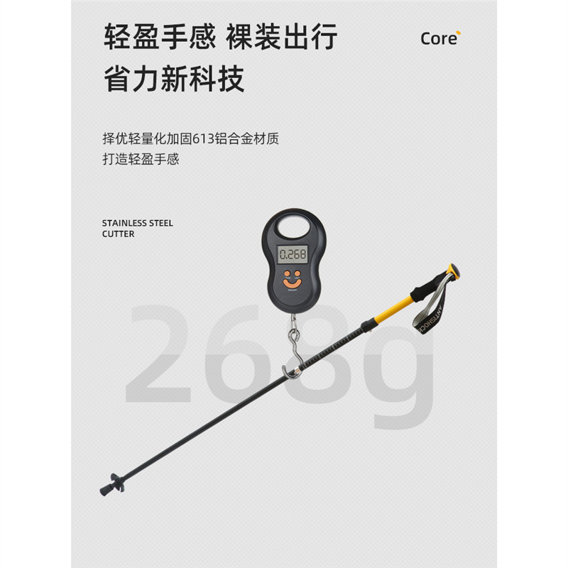 Bâton de randonnée télescopiqu - Folding Walking Sticks Hiking Adjustable avis et prix